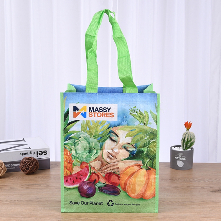 Custom Reusable Grocery Eco Friendly Tote  Shopping PP woven bag
